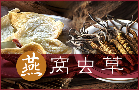 燕窝/虫草