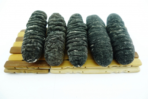 南澳洲靓禿參 22-24支/斤